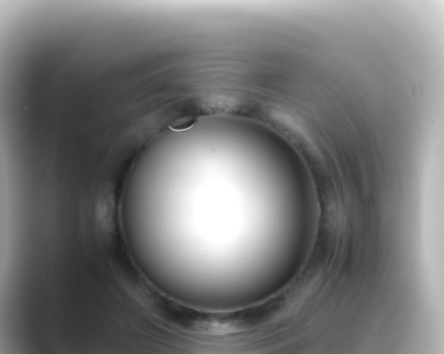 X0000089430498200706221214