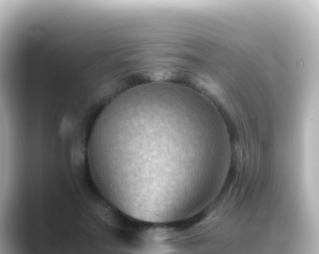 X0000089430499200706221214