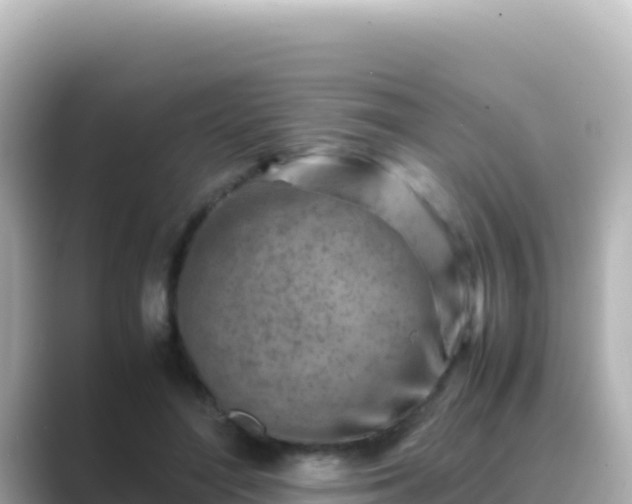 X0000089430500200706221214