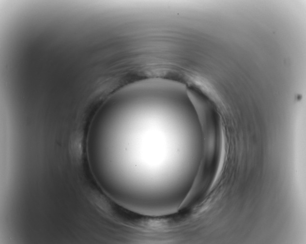 X0000089430501200706221214