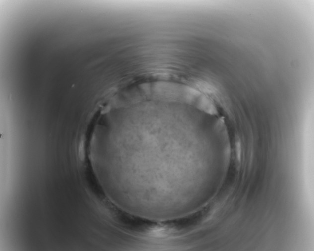 X0000089430504200706221214
