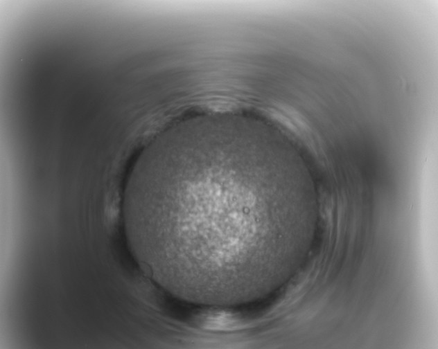 X0000089430507200706221213