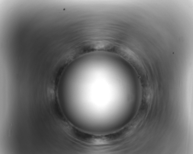 X0000089430510200706221213