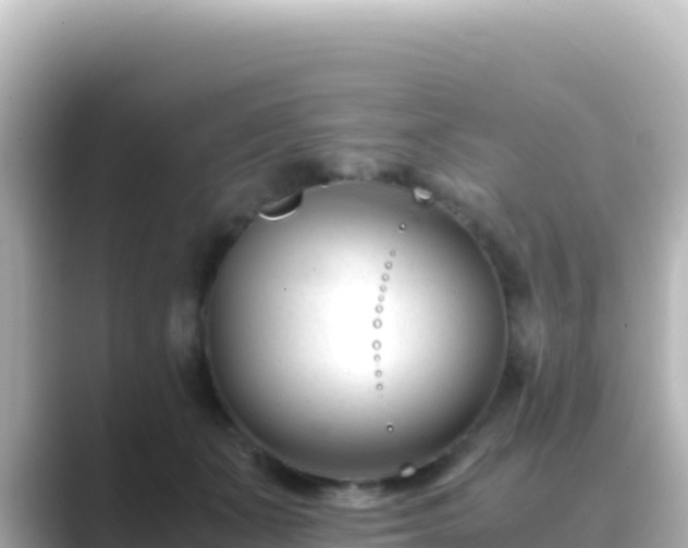 X0000089430511200706221213