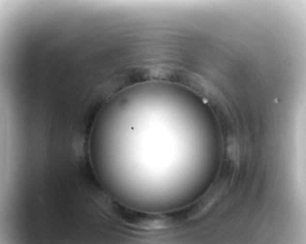 X0000089430514200706221213