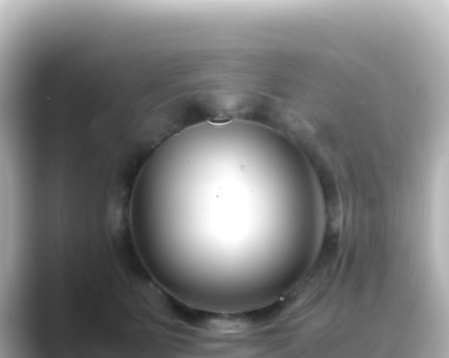 X0000089430515200706221213