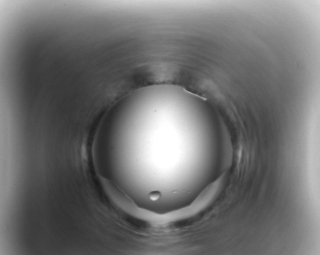 X0000089430516200706221213