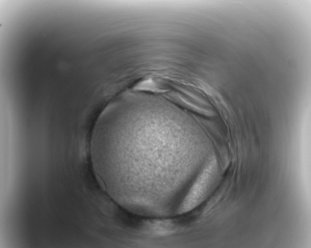 X0000089430517200706221213
