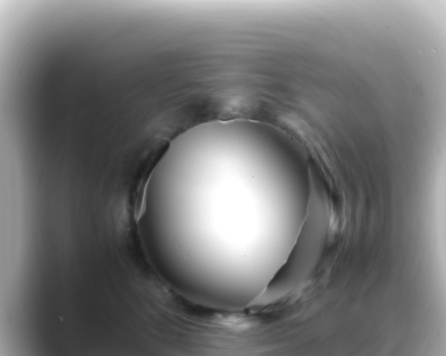 X0000089430520200706221213