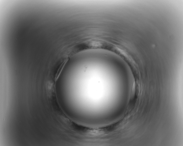 X0000089430521200706221213