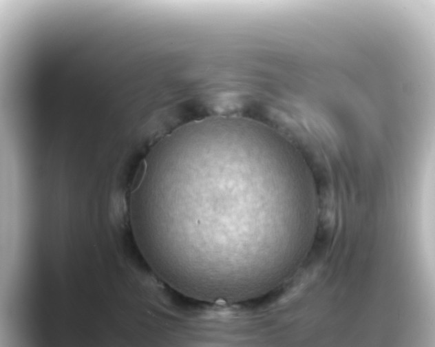 X0000089430523200706221213