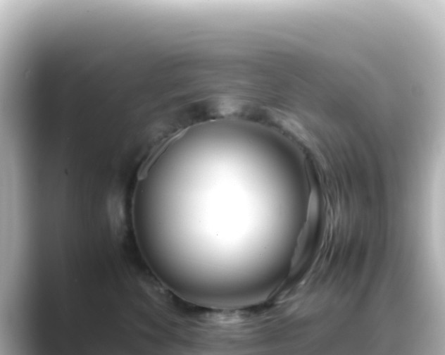 X0000089430524200706221213