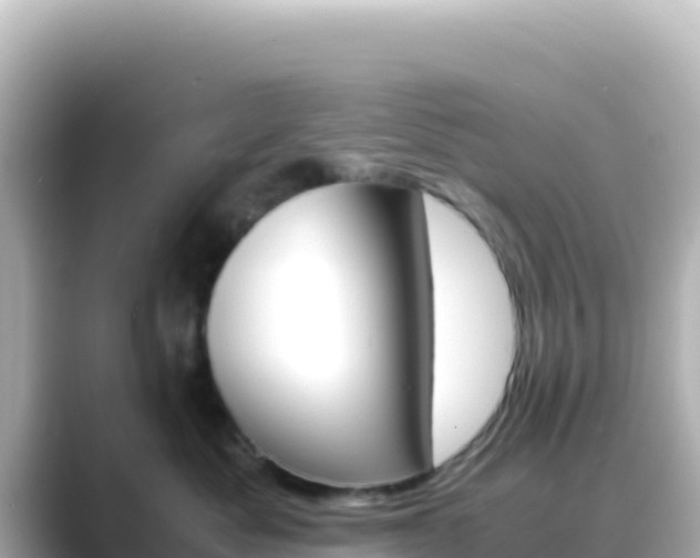 X0000089430525200706221213