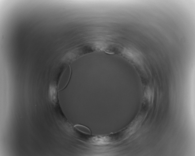 X0000089430526200706221213