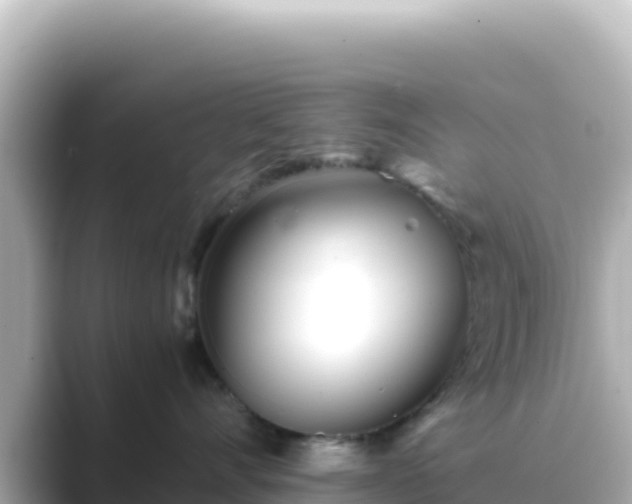 X0000089430528200706221213