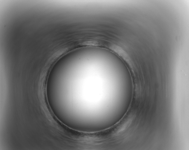 X0000089430529200706221213