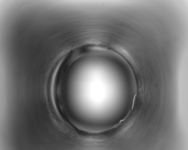 X0000089430530200706221213
