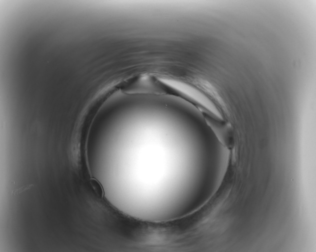 X0000089430531200706221213