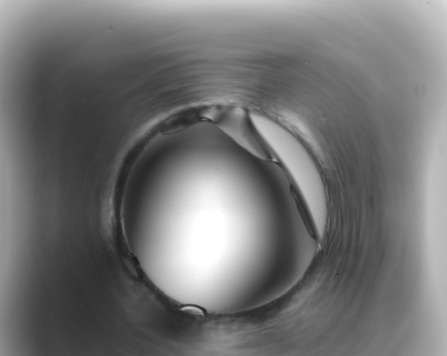 X0000089430532200706221213