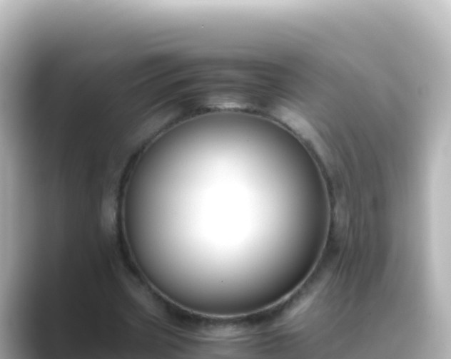 X0000089430533200706221213