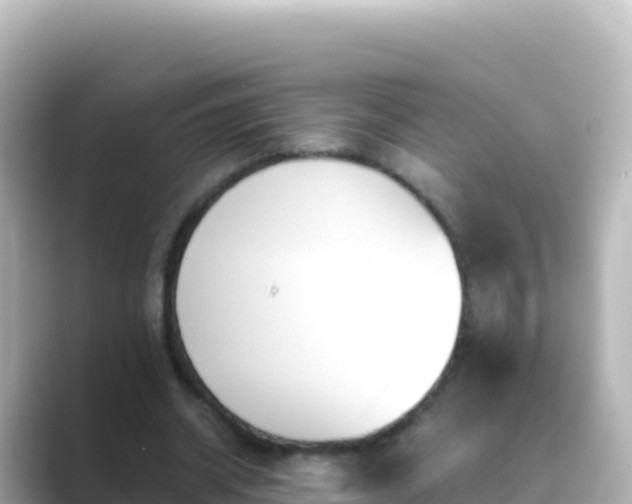 X0000089430534200706221213