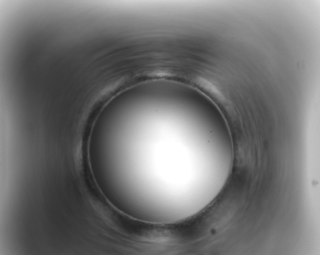 X0000089430535200706221213