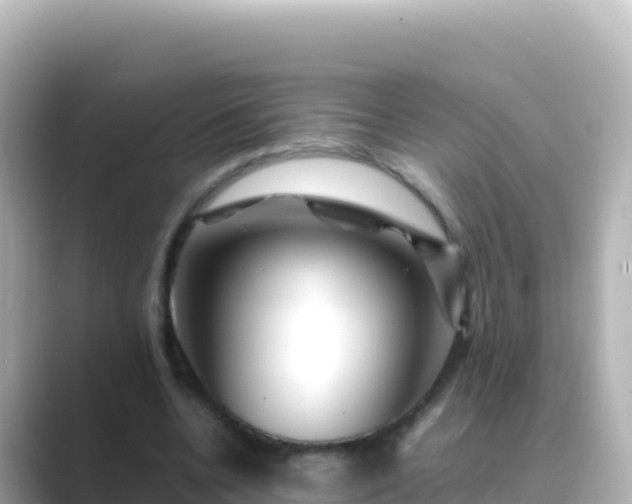 X0000089430536200706221213