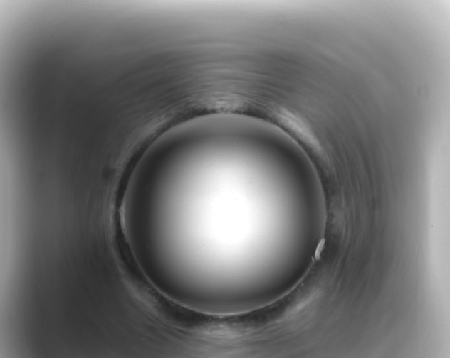 X0000089430538200706221213