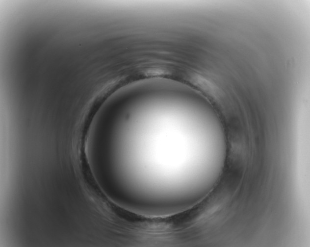 X0000089430539200706221213
