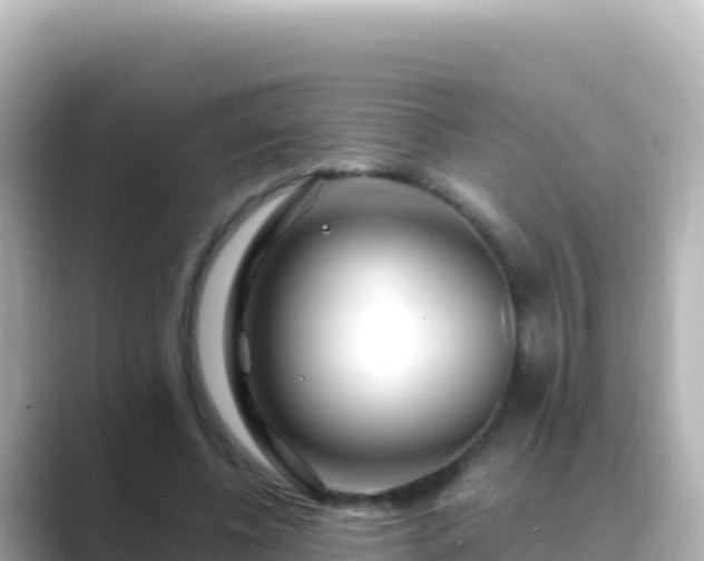 X0000089430540200706221213