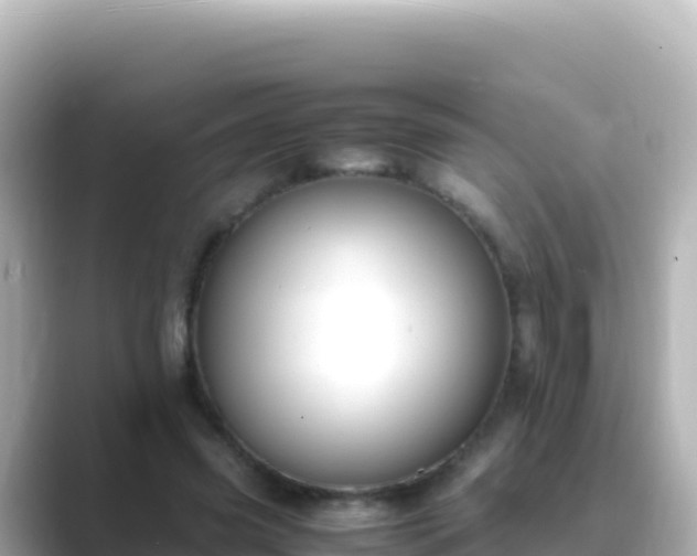 X0000089430541200706221213