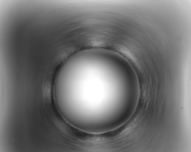 X0000089430542200706221213