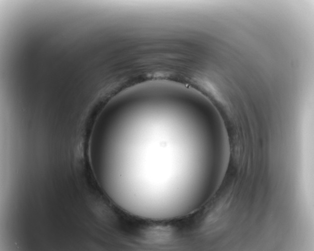 X0000089430543200706221213