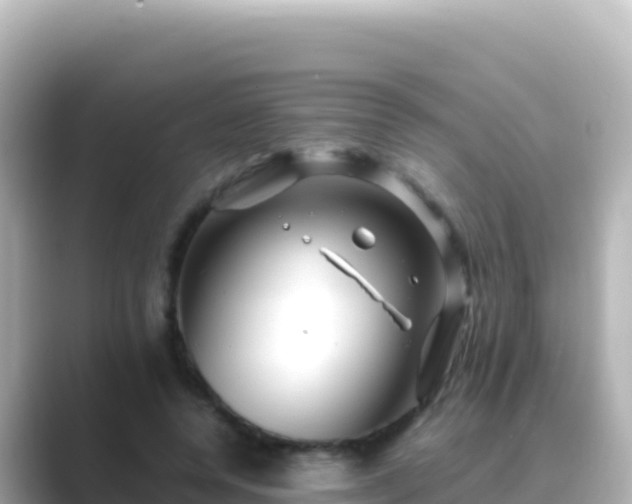 X0000089430544200706221213