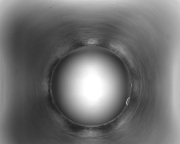 X0000089430545200706221213
