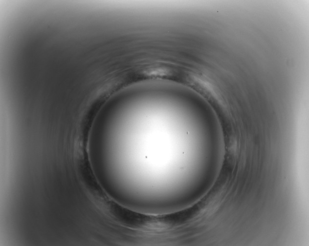 X0000089430547200706221213