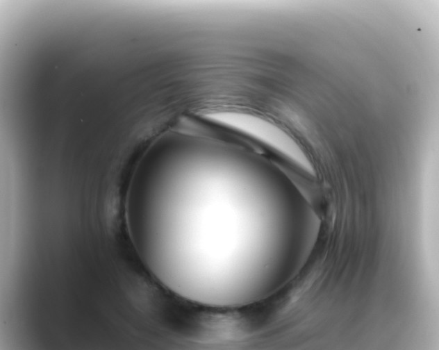 X0000089430548200706221213