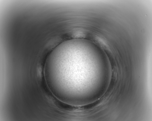 X0000089430550200706221213