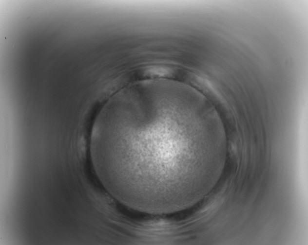 X0000089430551200706221213