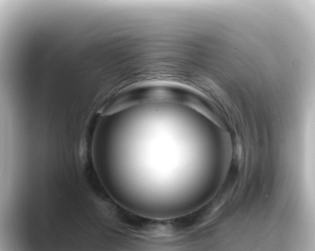 X0000089430552200706221213