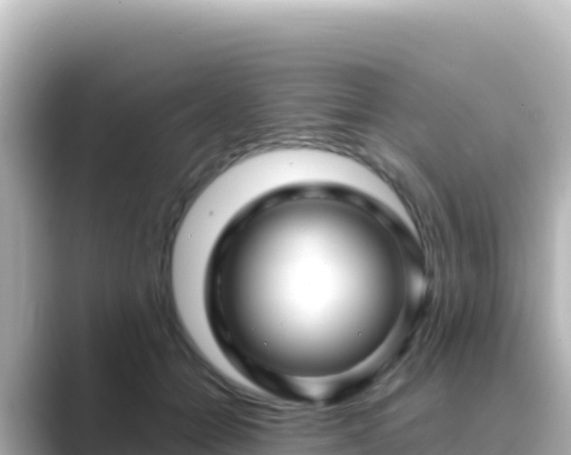 X0000089430558200706221213