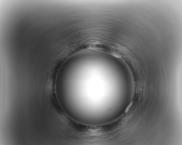 X0000089430560200706221213