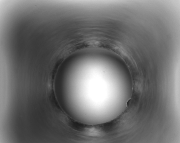 X0000089430561200706221213