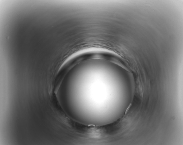 X0000089430562200706221213