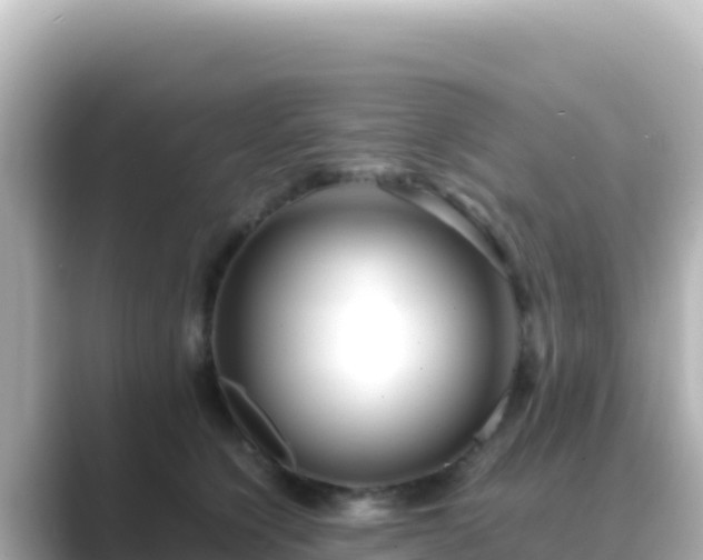 X0000089430564200706221213