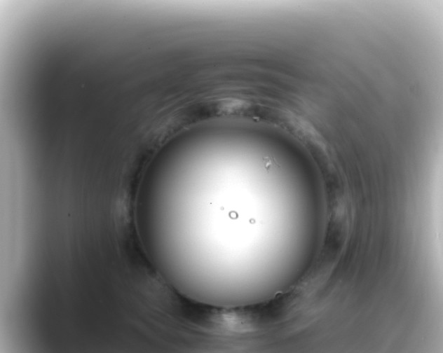 X0000089430565200706221213