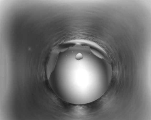 X0000089430566200706221213