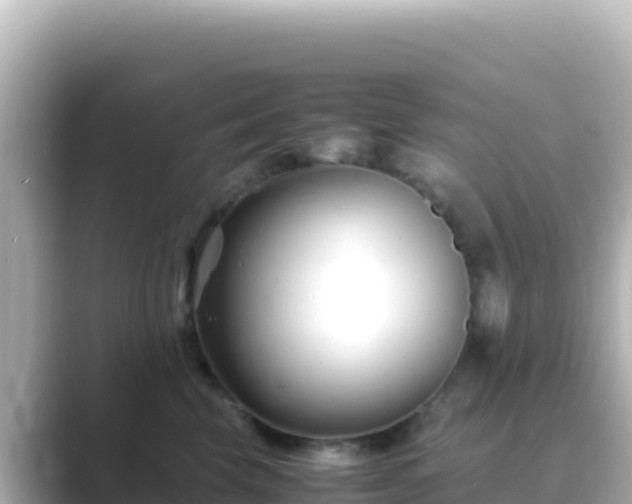 X0000089430569200706221213