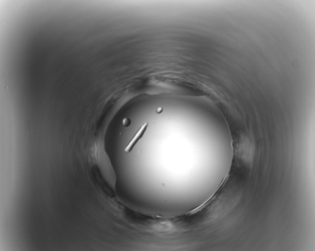 X0000089430572200706221213