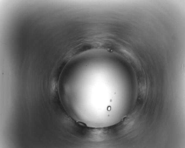 X0000089430574200706221213